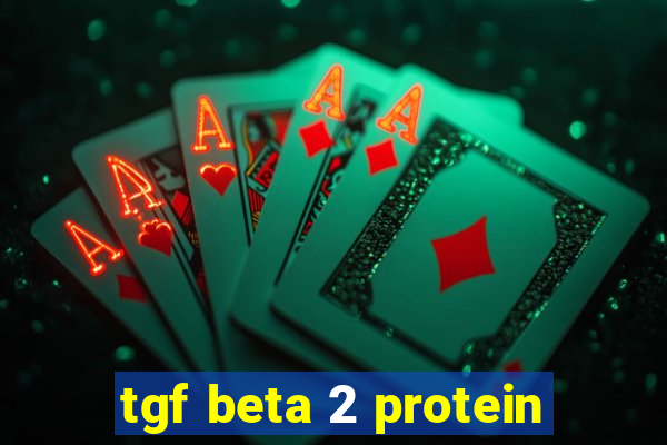 tgf beta 2 protein